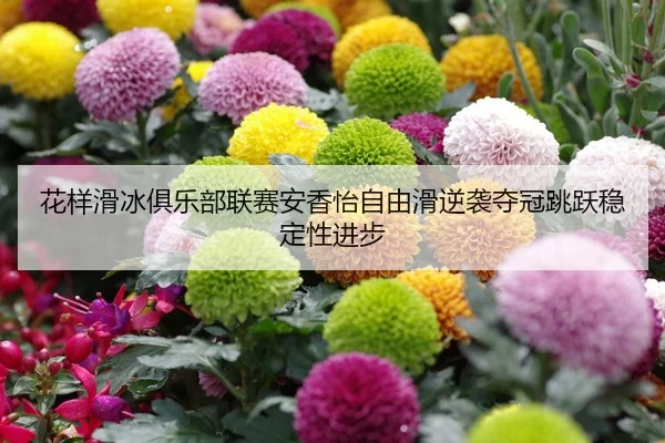 hua-yang-hua-bing-ju-le-bu-lian-sai-an-xiang-yi-zi-you-hua-ni-xi-duo-guan-tiao-yue-wen-ding-xing-jin-bu-2-714.jpg